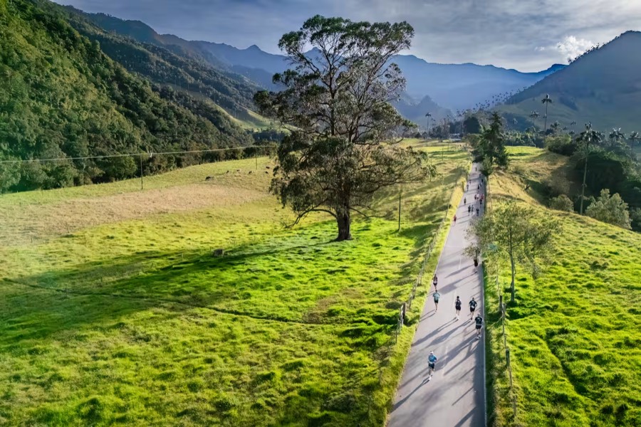 Media Maratón Entre Montañas — Salento